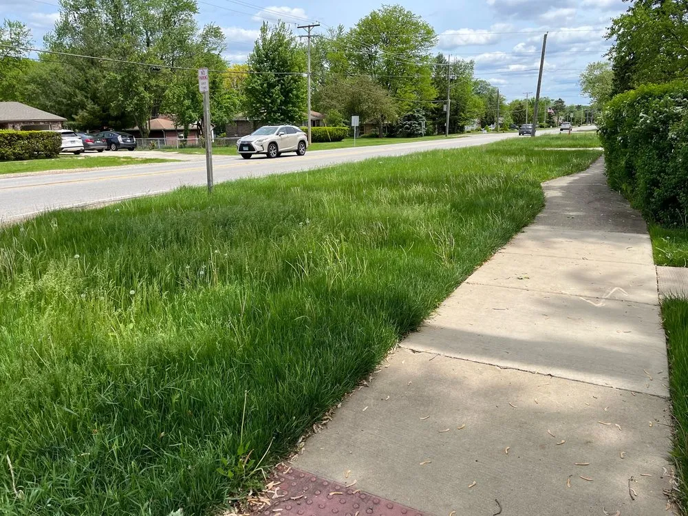 Expert yard cleanup service in Itasca, IL - Justified Living Landscaping