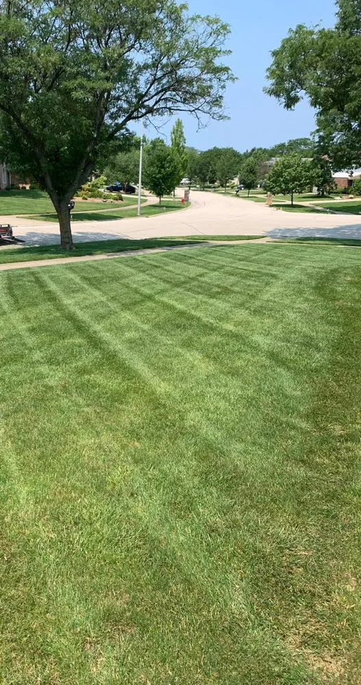 Custom landscaping services in Itasca, IL - Justified Living Landscaping
