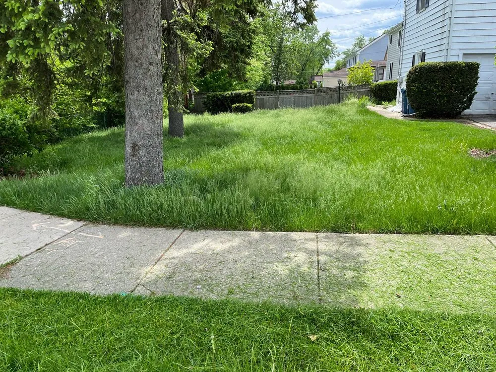 Reliable yard cleanup service for year-round maintenance across Itasca, IL - Justified Living Landscaping