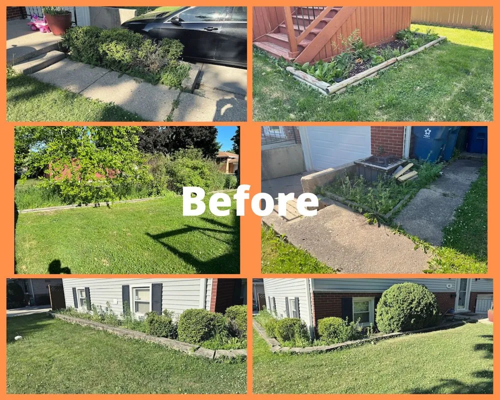 Reliable landscape design experts serving Itasca, IL - Justified Living Landscaping