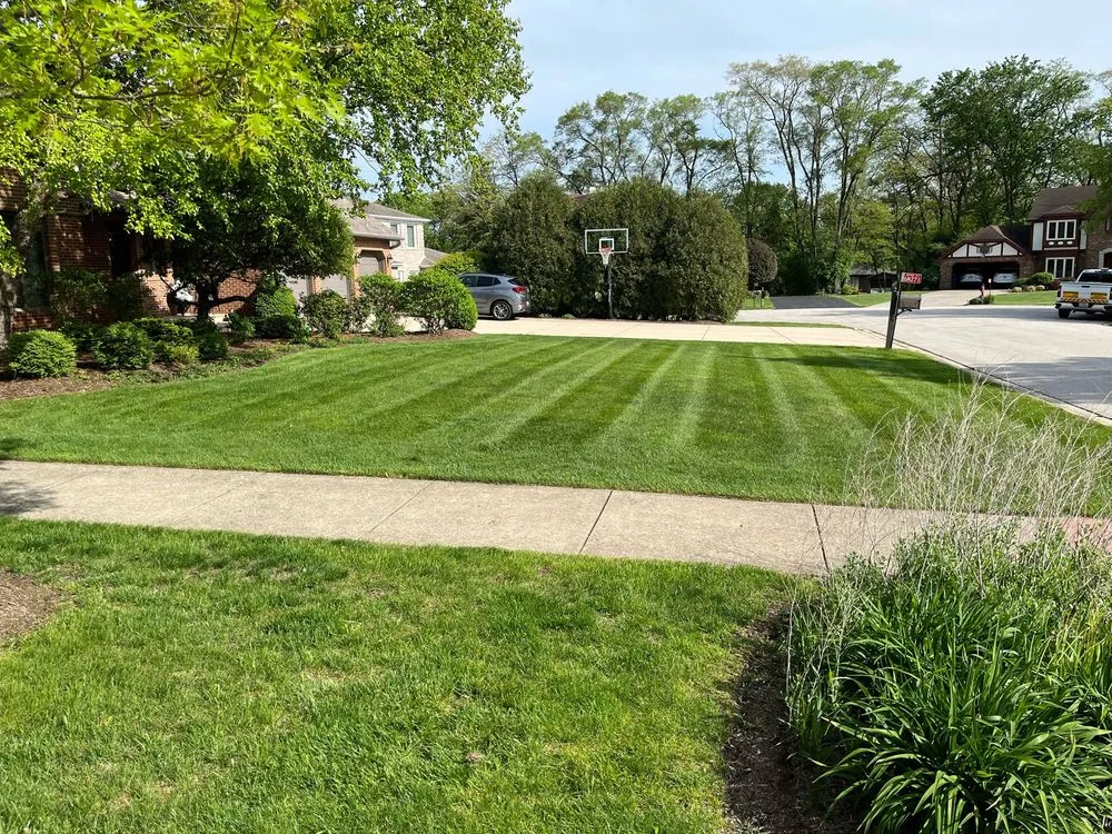 Local yard maintenance for year-round maintenance across Itasca, IL - Justified Living Landscaping