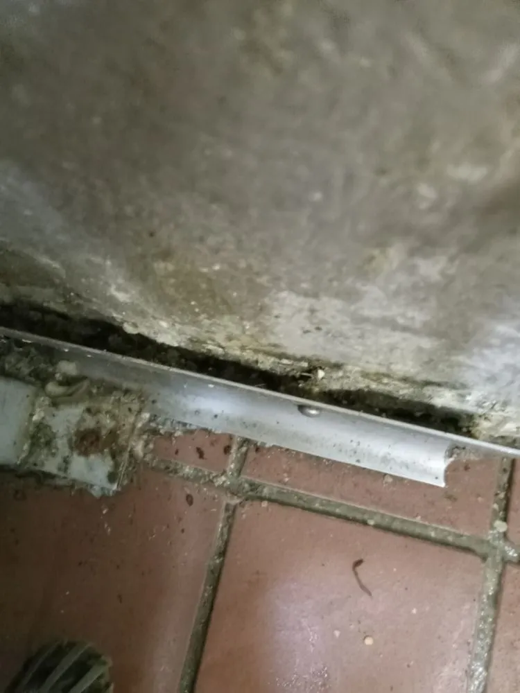 Custom landscaping services experts serving Durant, OK - Justin Alston and Sons