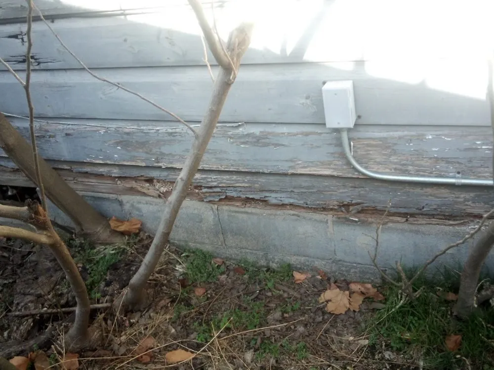 Top-rated lawn mowing service experts serving Durant, OK - Justin Alston and Sons