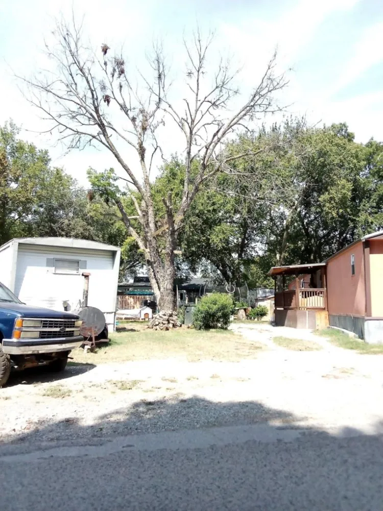 Reliable yard maintenance for homes in Durant, OK by Justin Alston and Sons