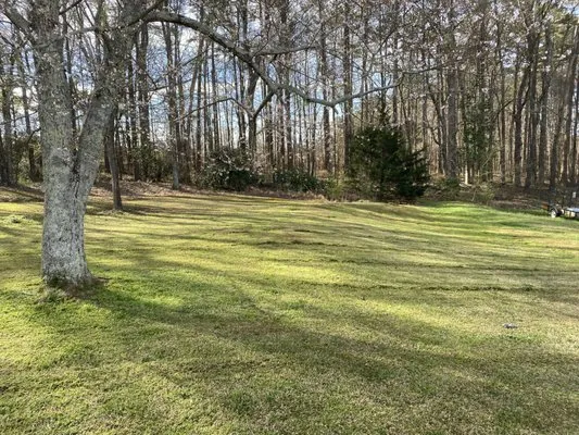 Justin Beattys Lawncare Logo