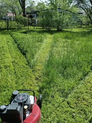 Justin Case Lawncare