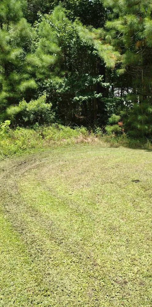 Professional garden landscaping in Saint Stephen, SC - Justin E Holmes Handyman and Landscaping