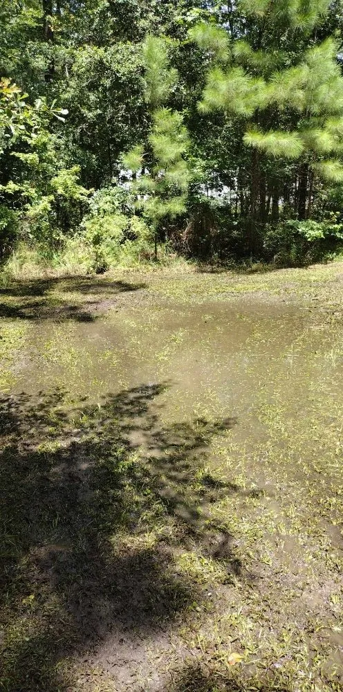 Custom landscaping services in Saint Stephen, SC - Justin E Holmes Handyman and Landscaping