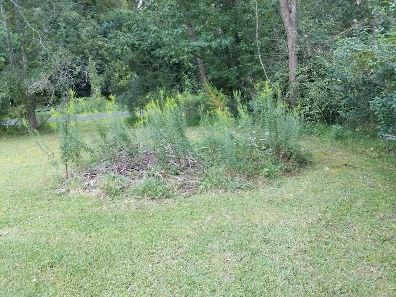 Expert lawn care service for homes across Saint Stephen, SC - Justin E Holmes Handyman and Landscaping