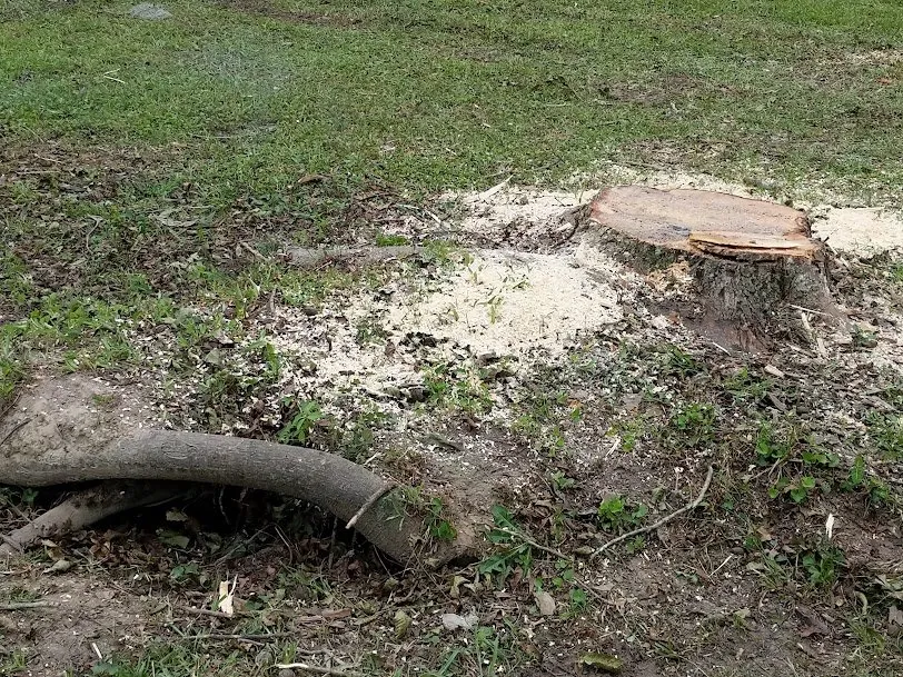 Expert landscape design near you across Saint Stephen, SC - Justin E Holmes Handyman and Landscaping