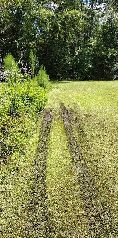 Reliable landscaping services in Saint Stephen, SC by Justin E Holmes Handyman and Landscaping