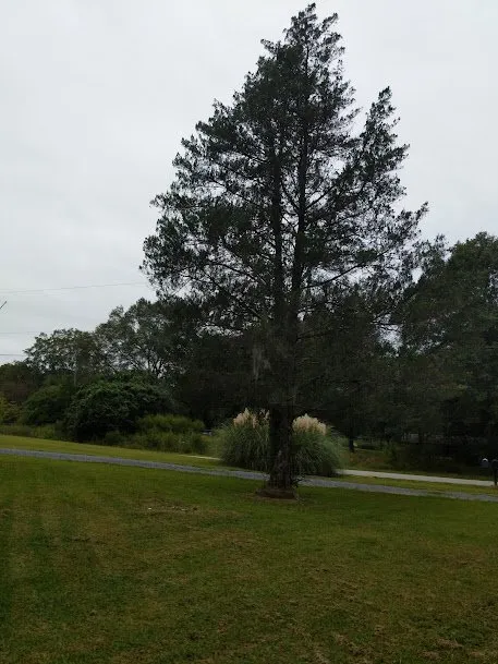 Custom landscape design for beautiful yards across Saint Stephen, SC - Justin E Holmes Handyman and Landscaping