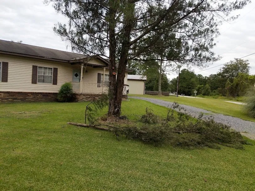 Custom lawn care service experts serving Saint Stephen, SC - Justin E Holmes Handyman and Landscaping