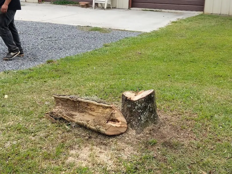 Top-rated landscape installation near you in Saint Stephen, SC by Justin E Holmes Handyman and Landscaping