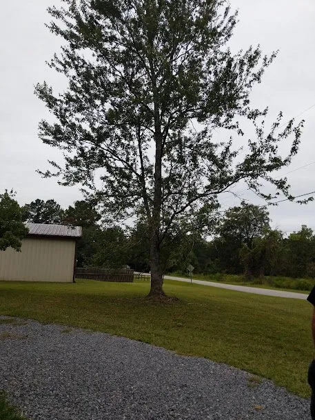 Affordable landscape design in Saint Stephen, SC by Justin E Holmes Handyman and Landscaping