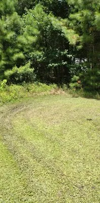 Justin E Holmes Handyman and Landscaping