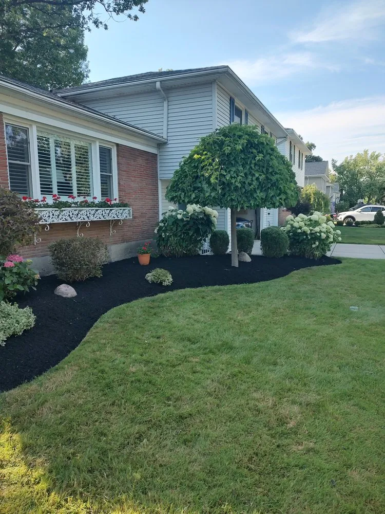 Local yard cleanup service for outdoor upgrades across Tonawanda, NY - Justin E Service's