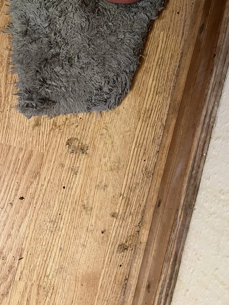 Expert garden landscaping for homes in Boise, ID by Justin Massey landscaping