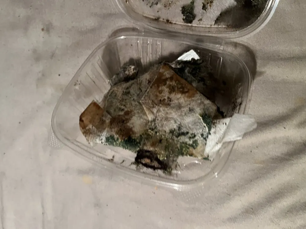 Top-rated outdoor landscaping experts serving Boise, ID - Justin Massey landscaping