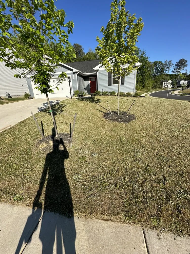 Reliable landscaping services experts serving Newport News, VA - Justin Pratt