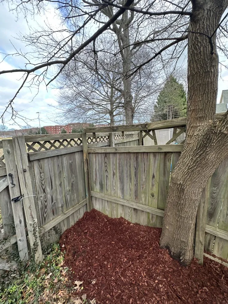 Affordable yard cleanup service for outdoor upgrades across Newport News, VA - Justin Pratt