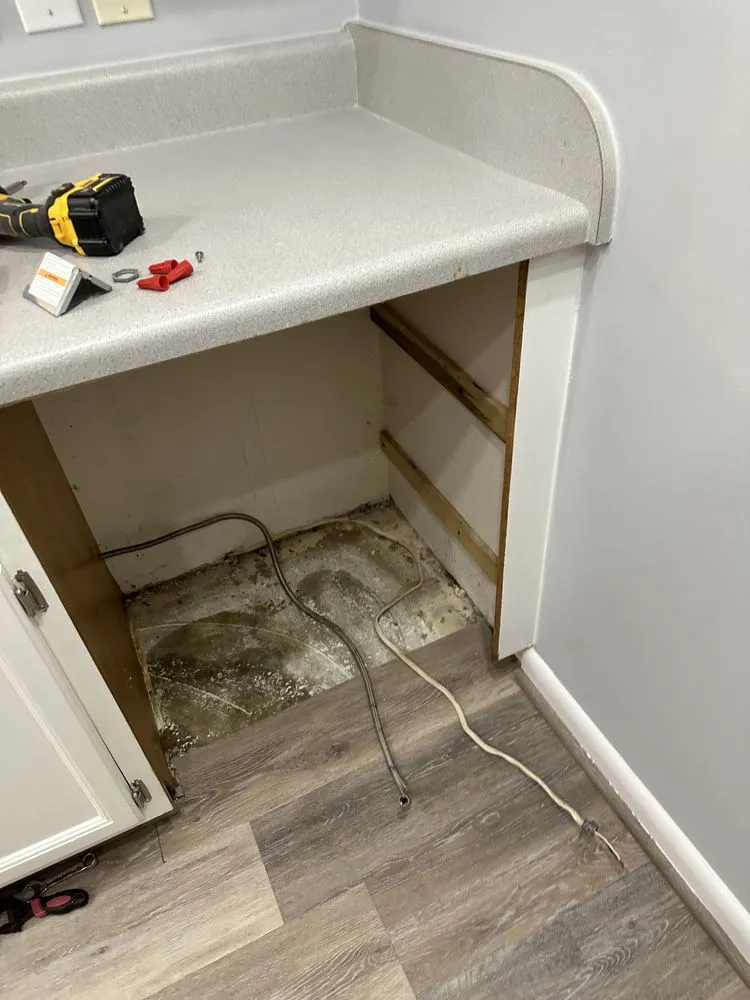 Expert yard cleanup service in Newport News, VA by Justin Pratt