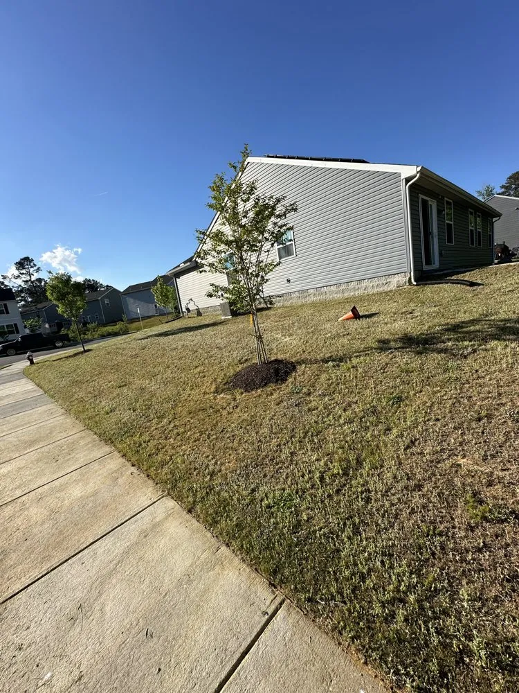 Top-rated residential landscaping in Newport News, VA by Justin Pratt