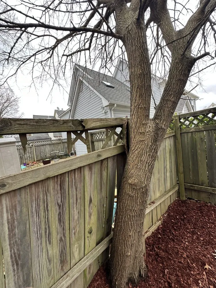 Reliable lawn mowing service near you in Newport News, VA by Justin Pratt