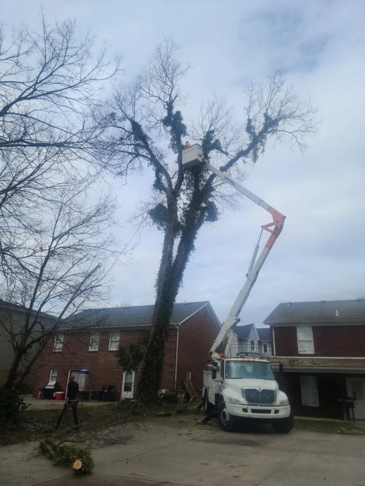 Reliable garden landscaping experts serving Richmond, KY - Justin Spurlock Jack of All Trades