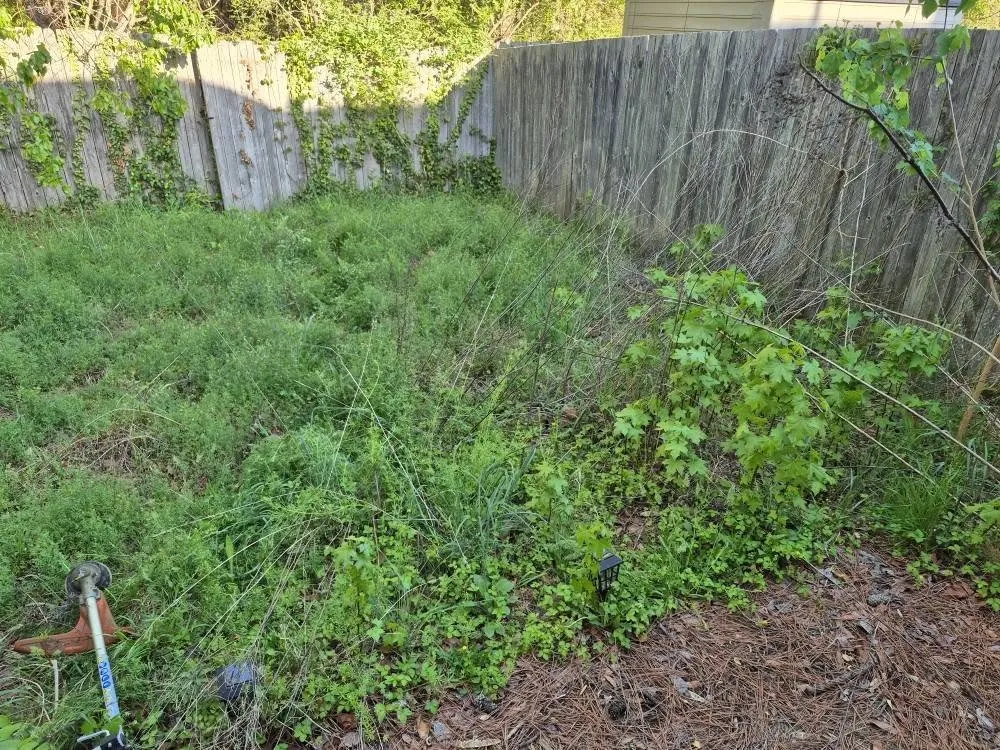 Expert lawn care service for residential properties in Chesapeake, VA by Justin Time Lawn Service