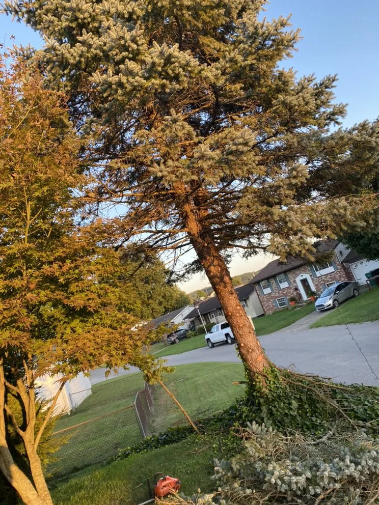 Expert landscape installation experts serving Milton, WV - Justin Time Lawncare Services