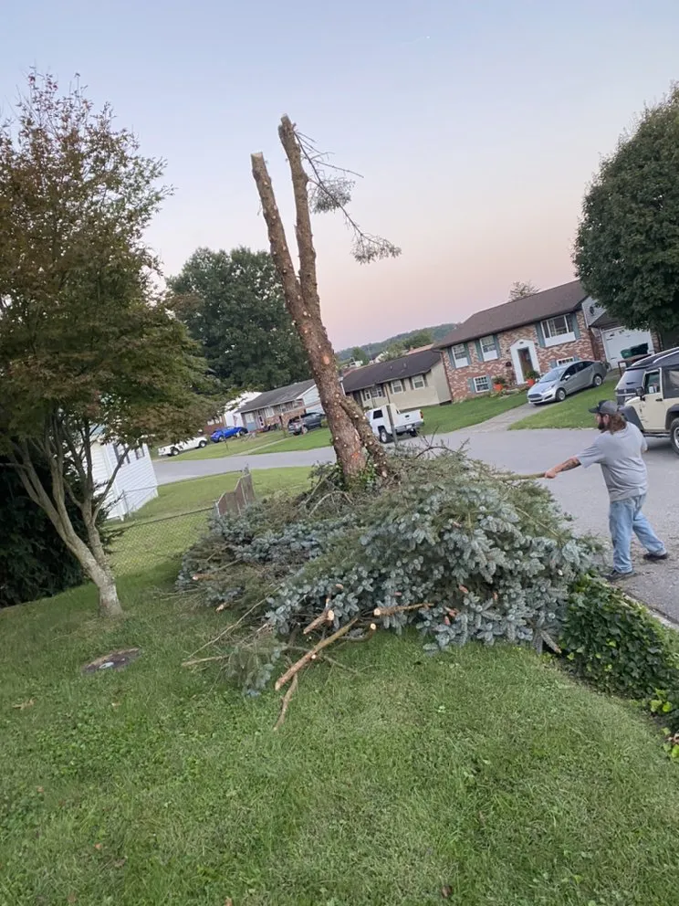 Trusted lawn care service in Milton, WV by Justin Time Lawncare Services