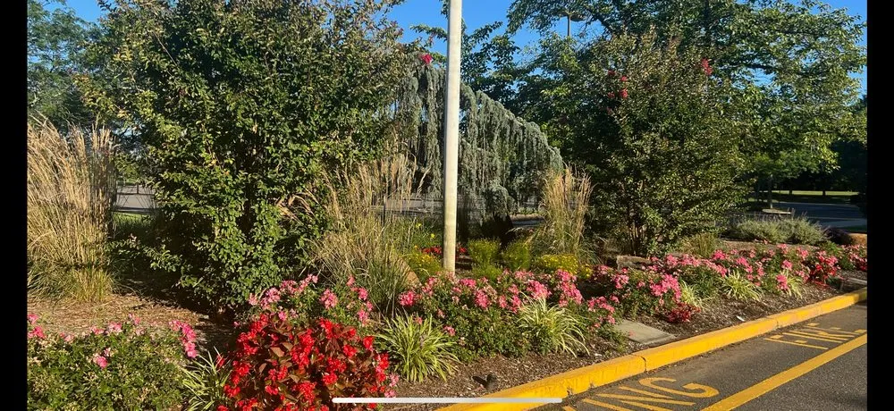 Trusted outdoor landscaping for homes in Lawrence Township, NJ by Justin Tree Services & Lawn Care