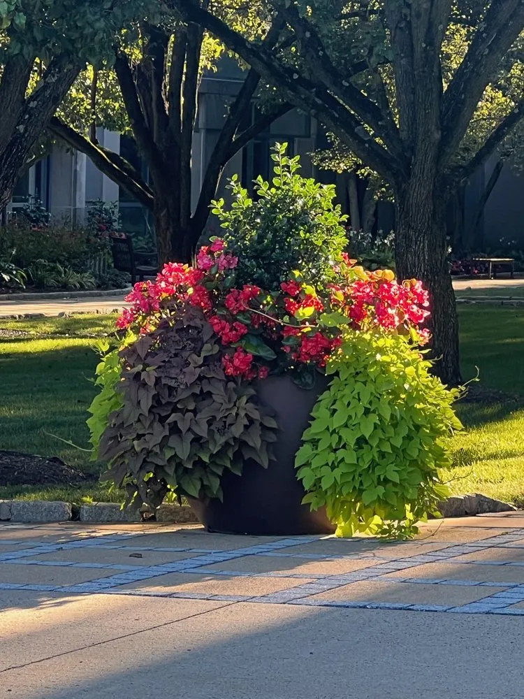 Top-rated lawn mowing service experts serving Lawrence Township, NJ - Justin Tree Services & Lawn Care