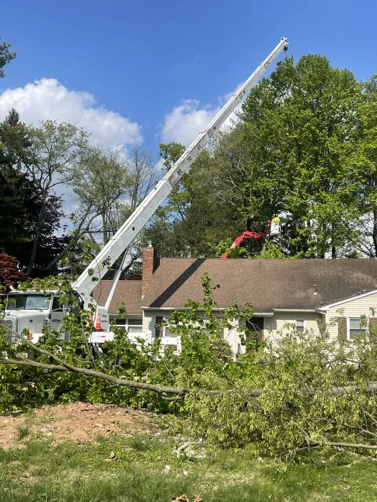 Reliable outdoor landscaping in Lawrence Township, NJ by Justin Tree Services & Lawn Care