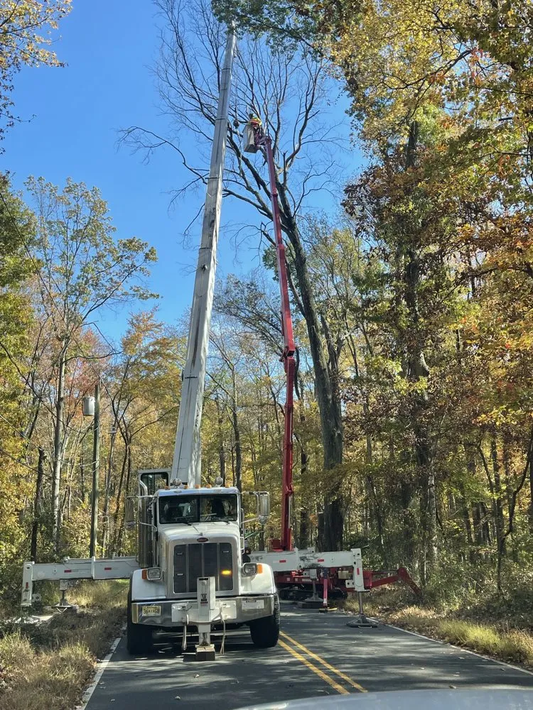 Top-rated lawn mowing service in Lawrence Township, NJ - Justin Tree Services & Lawn Care