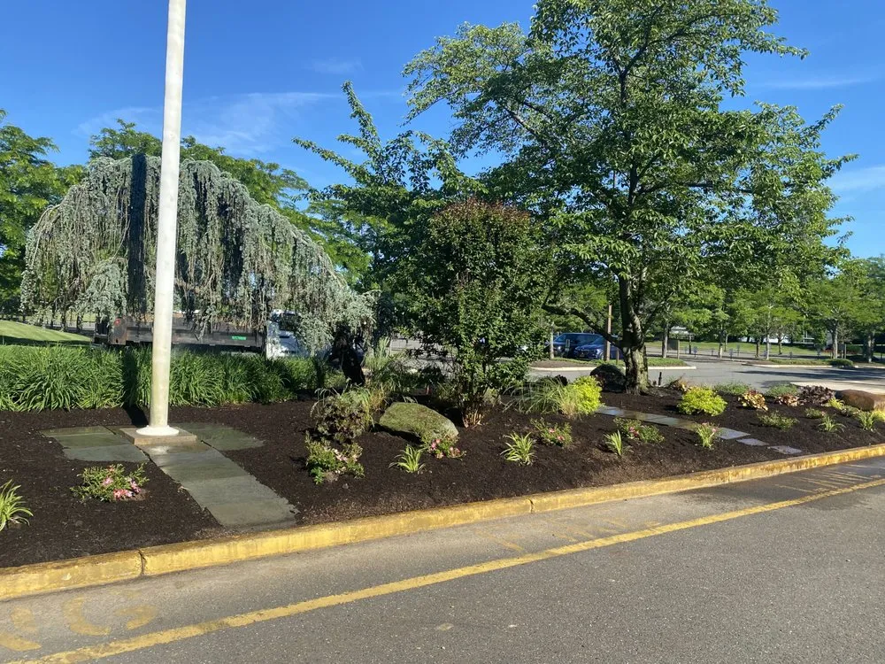 Affordable yard cleanup service in Lawrence Township, NJ by Justin Tree Services & Lawn Care