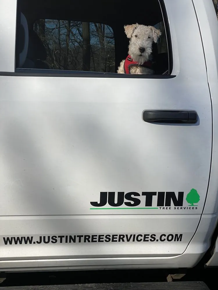 Custom landscaping services for beautiful yards across Lawrence Township, NJ - Justin Tree Services & Lawn Care