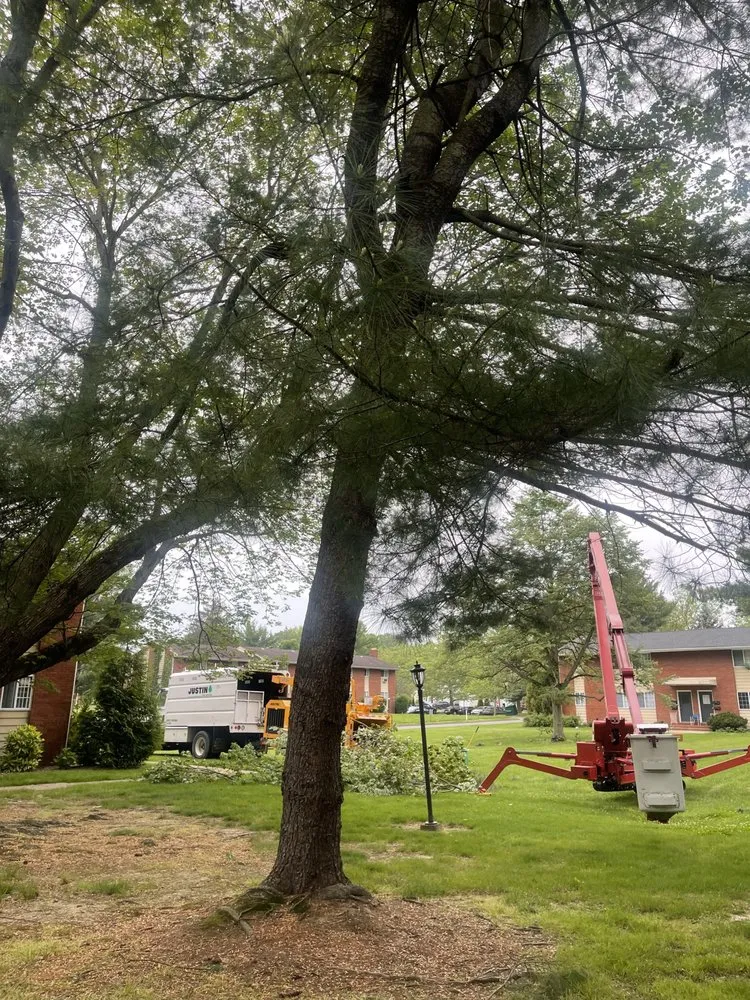 Professional garden landscaping for outdoor upgrades across Lawrence Township, NJ - Justin Tree Services & Lawn Care