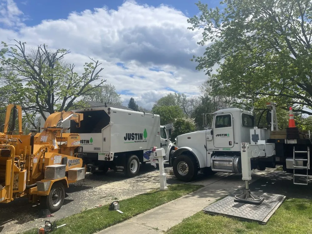 Trusted landscaping services experts serving Lawrence Township, NJ - Justin Tree Services & Lawn Care