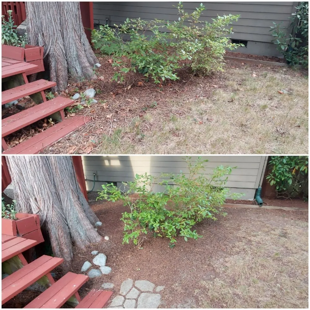 Affordable lawn care service experts serving Bremerton, WA - JustinCredible Landscape and Home Solutions
