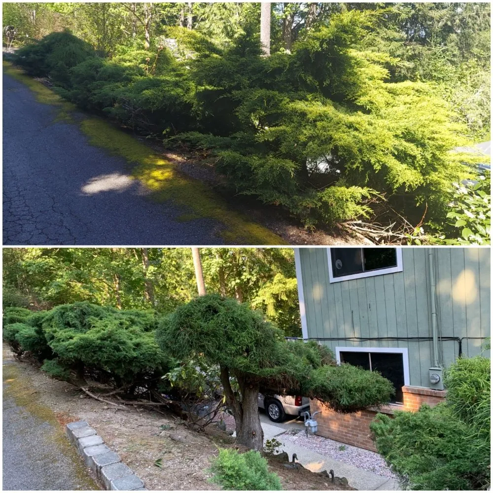 Top-rated yard maintenance for year-round maintenance in Bremerton, WA by JustinCredible Landscape and Home Solutions