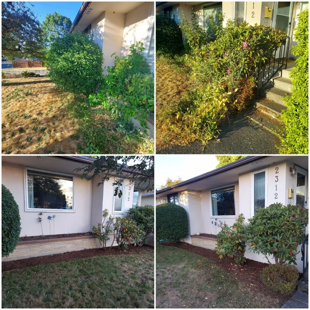 Professional lawn mowing service experts serving Bremerton, WA - JustinCredible Landscape and Home Solutions