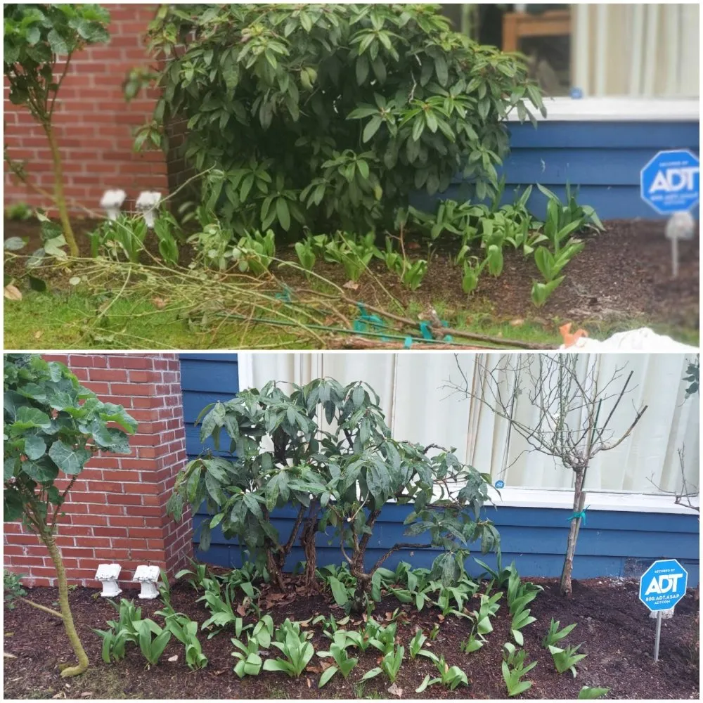 Expert outdoor landscaping in Bremerton, WA by JustinCredible Landscape and Home Solutions