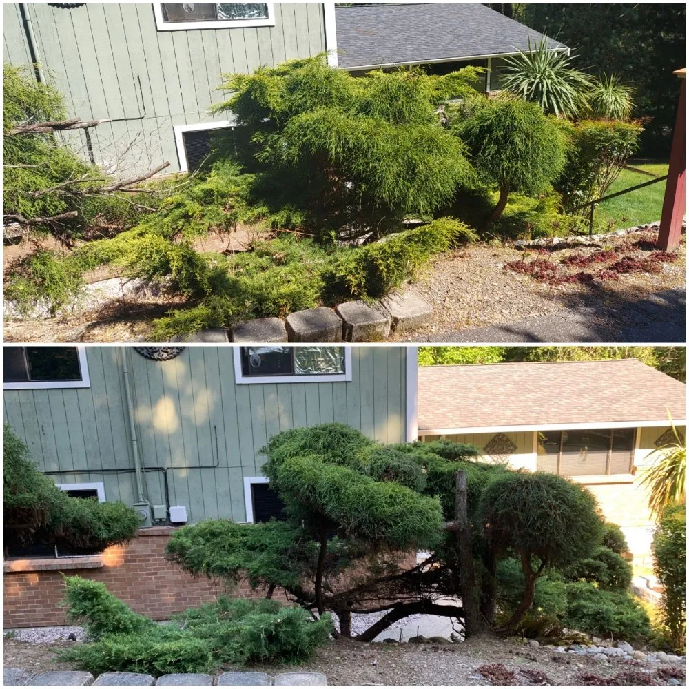 Reliable lawn care service in Bremerton, WA by JustinCredible Landscape and Home Solutions