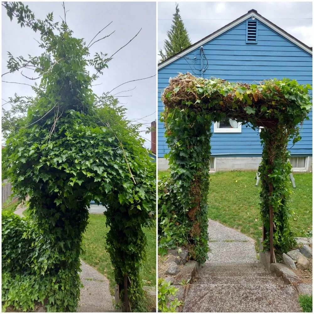 Custom landscape installation in Bremerton, WA by JustinCredible Landscape and Home Solutions