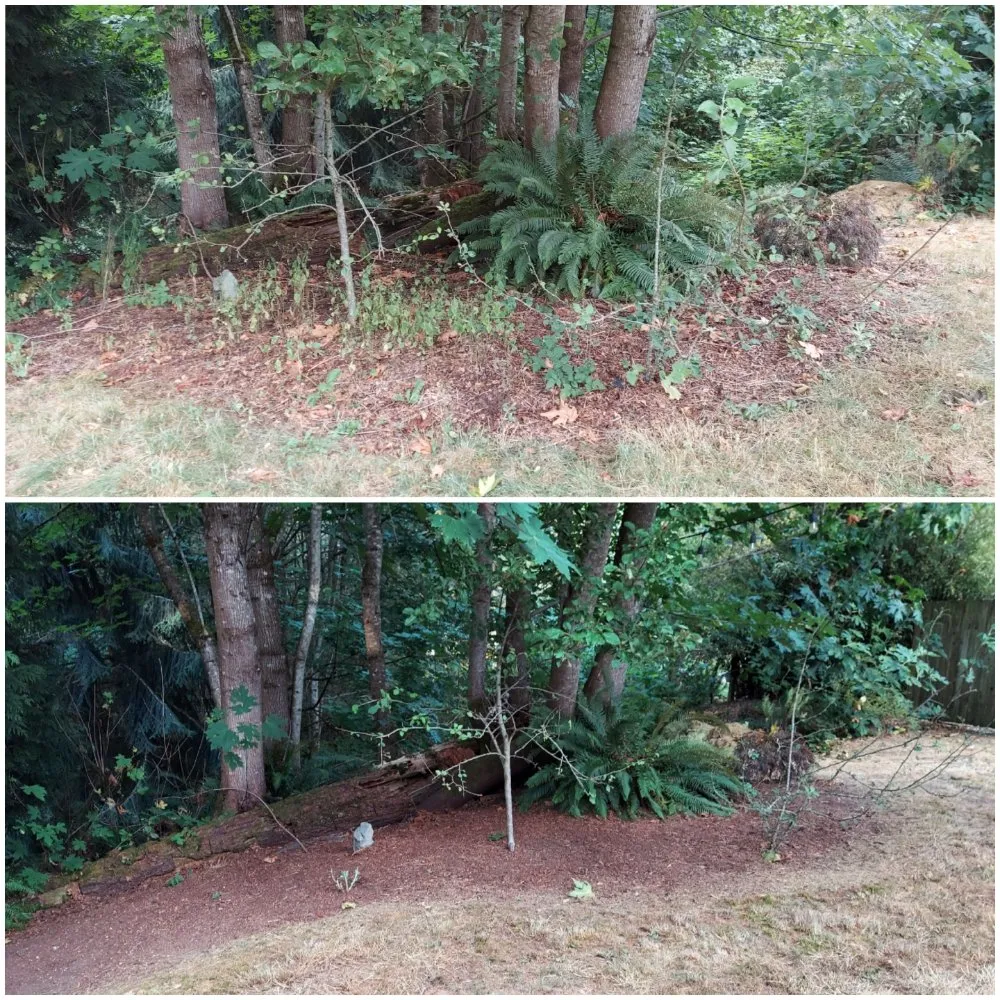 Trusted yard cleanup service in Bremerton, WA - JustinCredible Landscape and Home Solutions