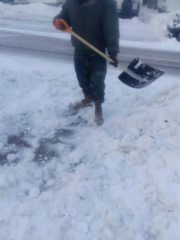 Custom lawn care service in Ionia, MI by Justin's General service's