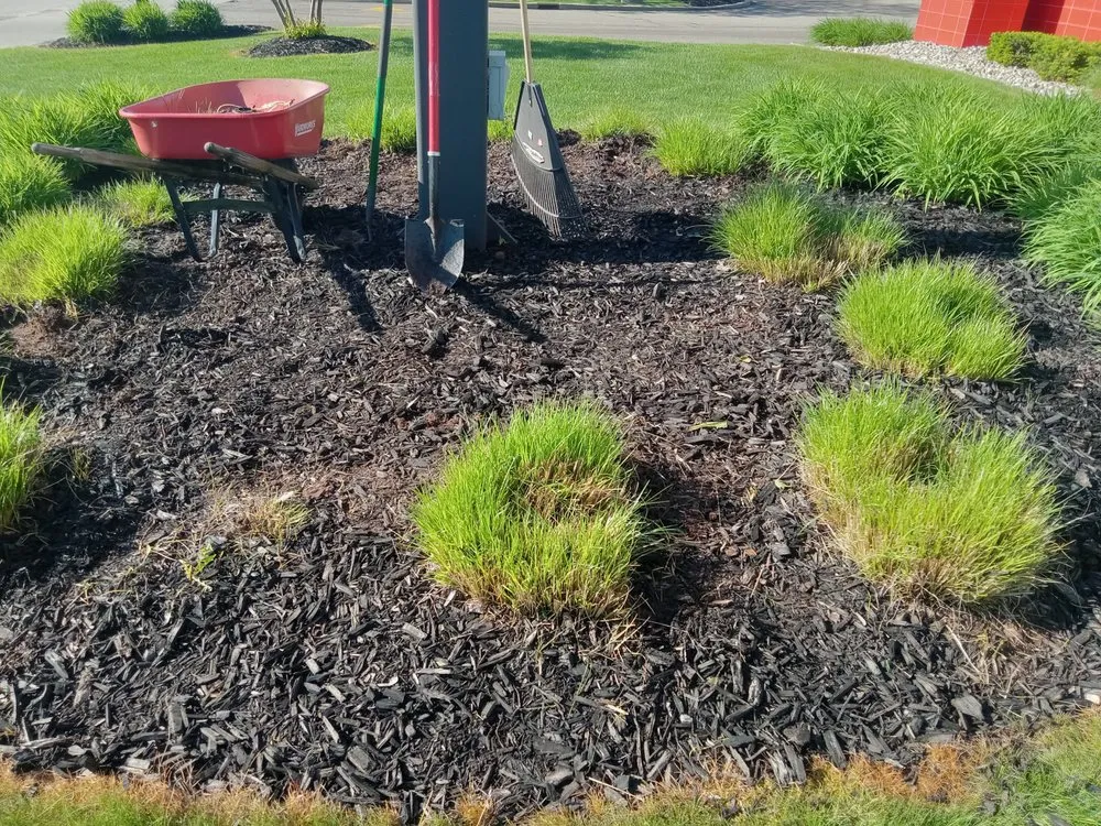 Affordable garden landscaping in Ionia, MI by Justin's General service's