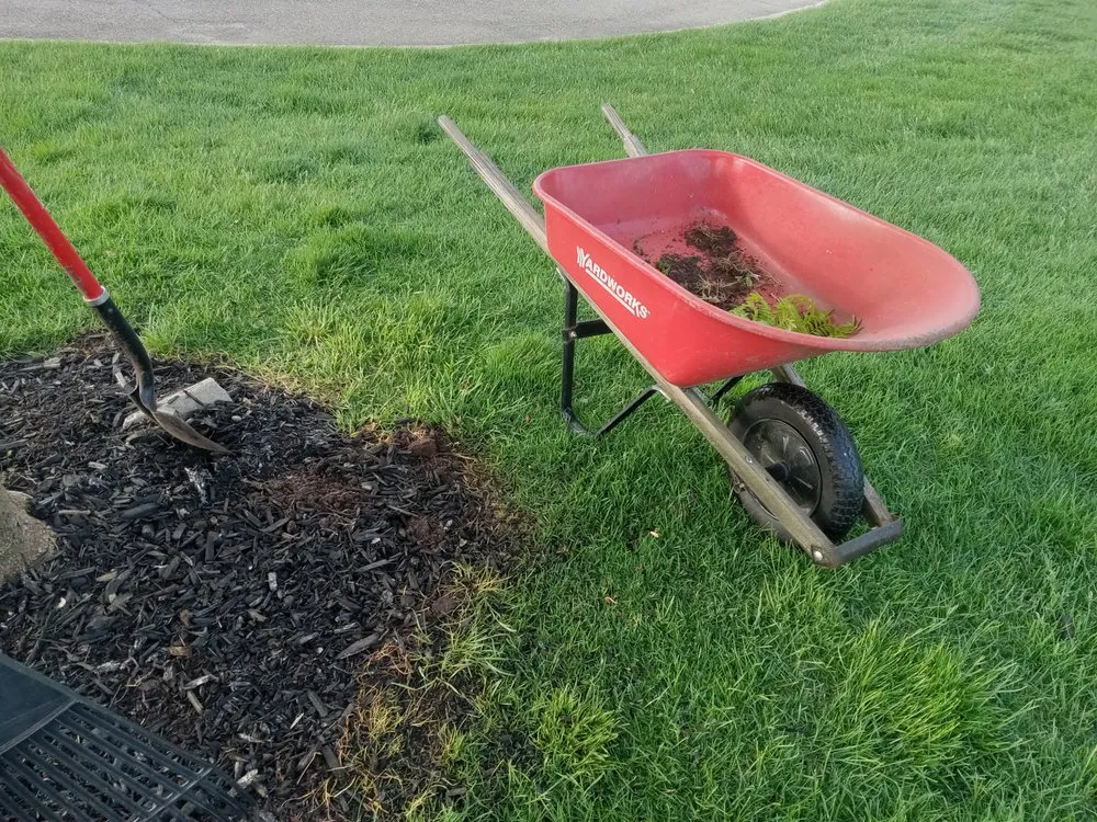 Affordable outdoor landscaping for residential properties in Ionia, MI by Justin's General service's